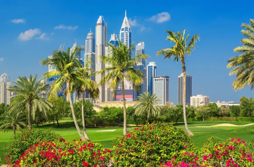 landscape LNR Consultancy LTD